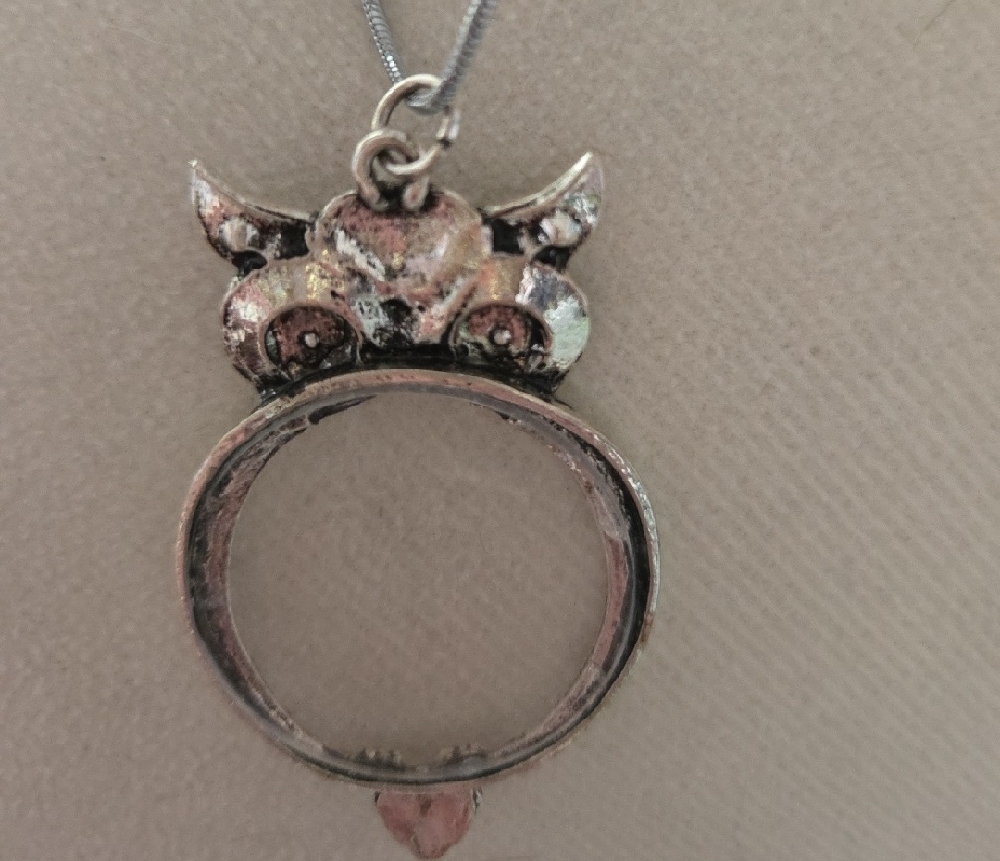 Silver Owl Magnifying Pendant Necklace - Picture 4 of 4